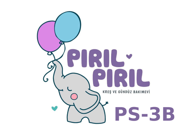 PS-3B